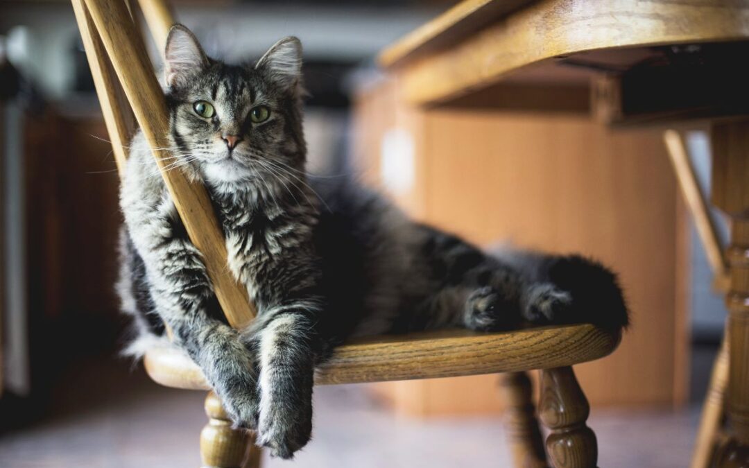 Sitting Well