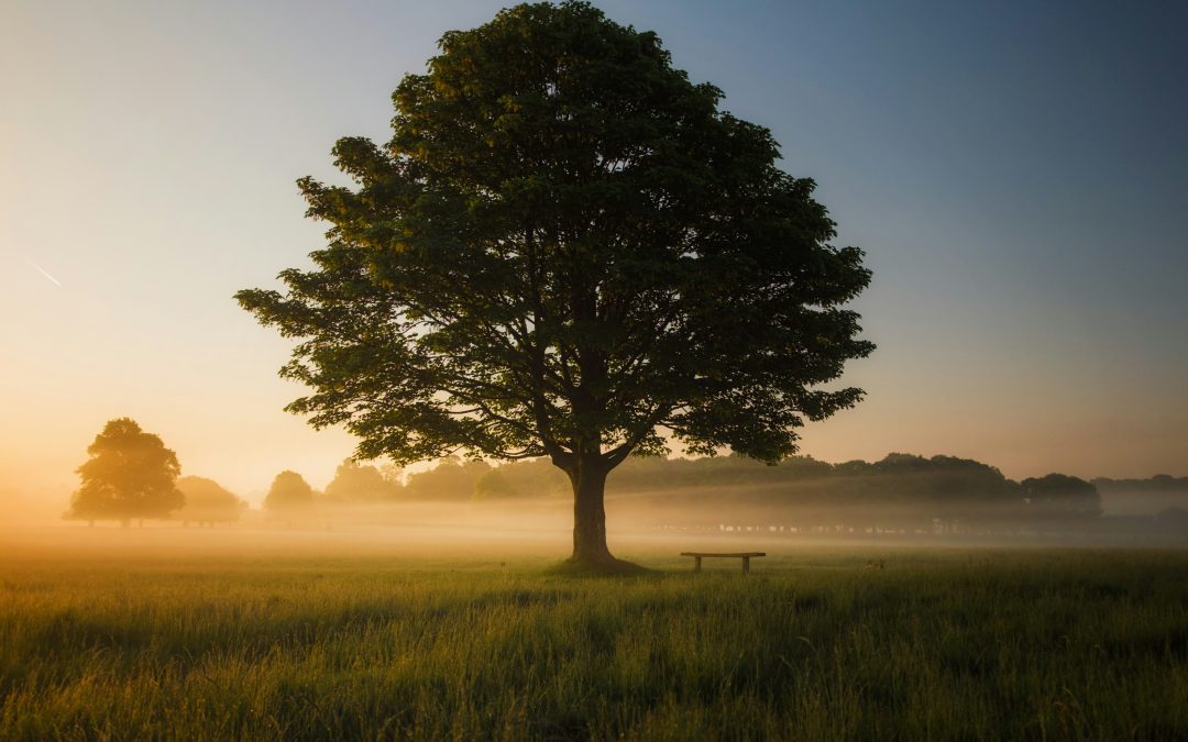 Introduction to Psychosynthesis Coaching